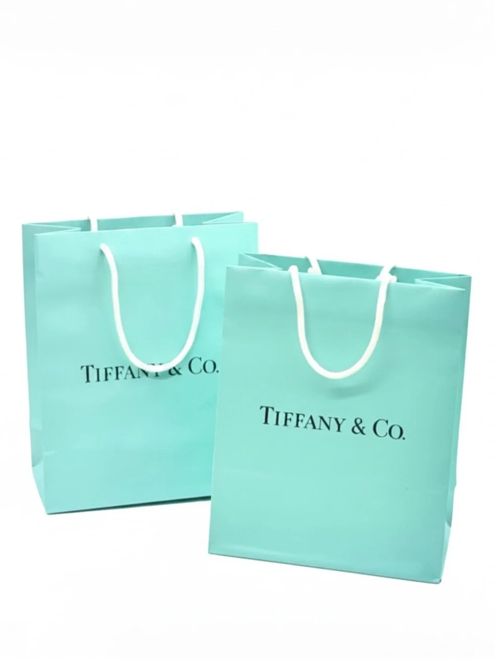 Tiffany & Co. Blue Paper Shopping Bag - Signature Aqua Gift Bag